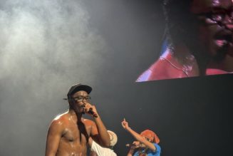 More Than a Rap Show: Tyler, the Creator's 'CHROMAKOPIA' World Tour Is a Celebration of Artistry and Legacy