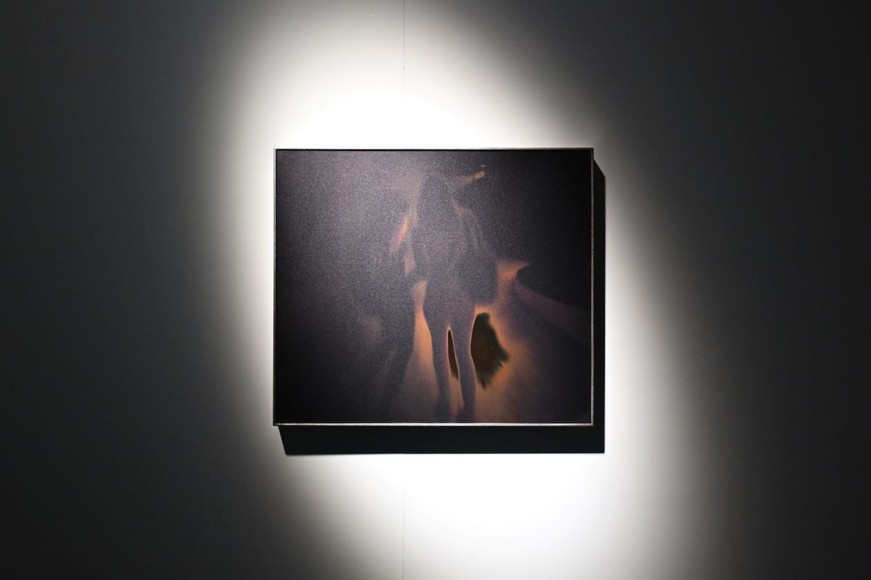 Paige Silveria's 'Daisies' Dover Street Market Paris Art Artworks