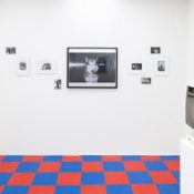 Ricky Powell's Early New York Photographs Resurface at Whaam!