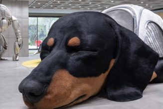 Take a Closer Look at HAUS NOWHERE SEOUL