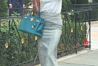 When All You Know Is That You Don't Want to Wear Black Shoes, Go With the Color Victoria Beckham Just Wore