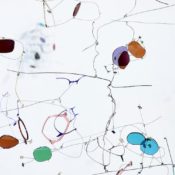 Yuko Nishikawa Transforms Lindberg Eyewear into Moving Sculpture