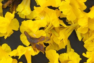 All the Artists Participating in the 15th Shanghai Biennale