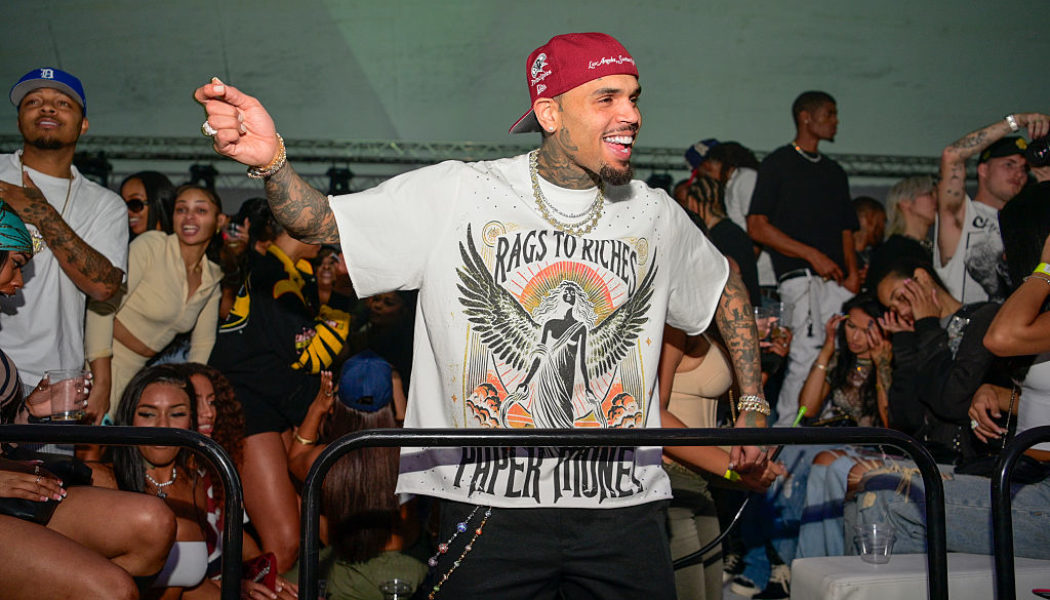 Chris Brown Calls Cap On Leaving Housekeeper After Dog Attack