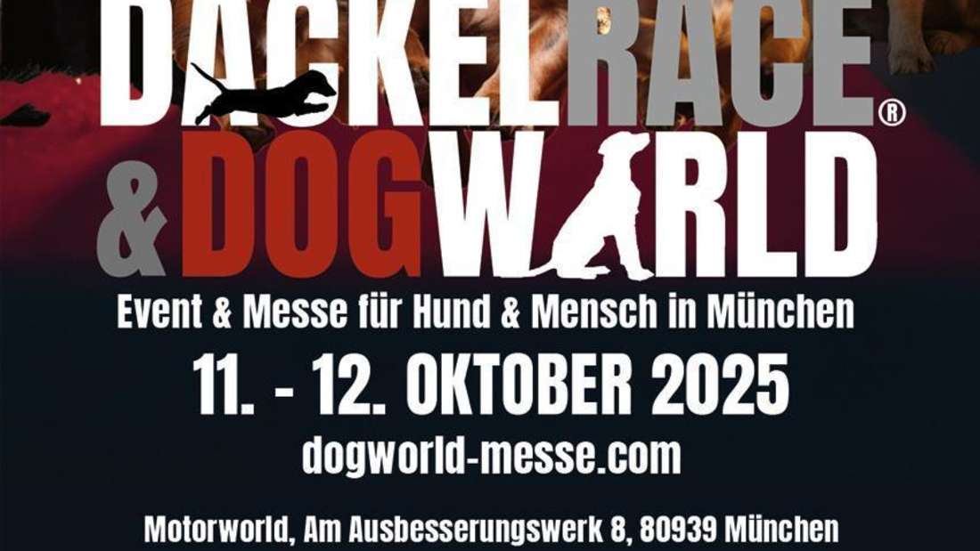 Das Hunde-Lifestyle- und Erlebnisevent in München.