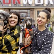 DogWorld 2025 & 3. DackelRace: Münchens großes Hunde- und Lifestyle-Festival