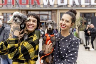 DogWorld 2025 & 3. DackelRace: Münchens großes Hunde- und Lifestyle-Festival