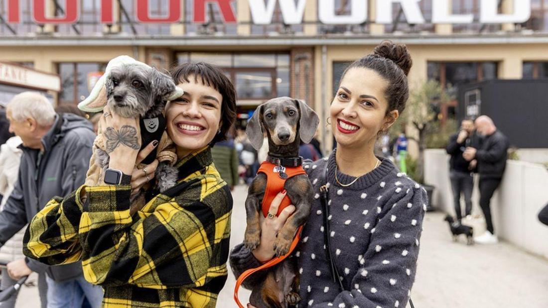 Impressionen: DogWorld & DackelRace