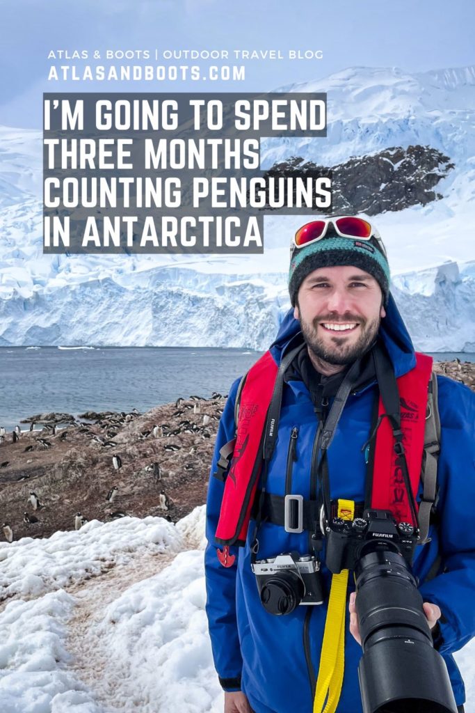 counting penguins Antarctica Pinterest pin