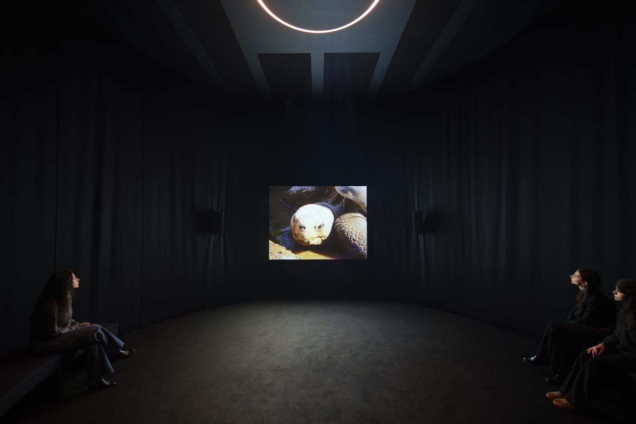 Nan Goldin 'This Will Not End Well' at Pirelli HangarBicocca Art Artworks