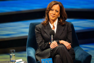 Run It Back? : Kamala Harris Strongly Hints At Running For President Again
