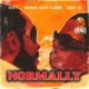 Show Dem Camp, Joey B, and Boj Unite on “Normally” » NaijaTunez - No. 1 Platform For Latest Naija Music & Videos