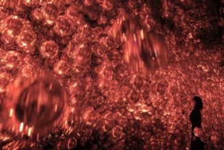 teamLab Opens Biovortex Kyoto, Its Largest Museum in Japan