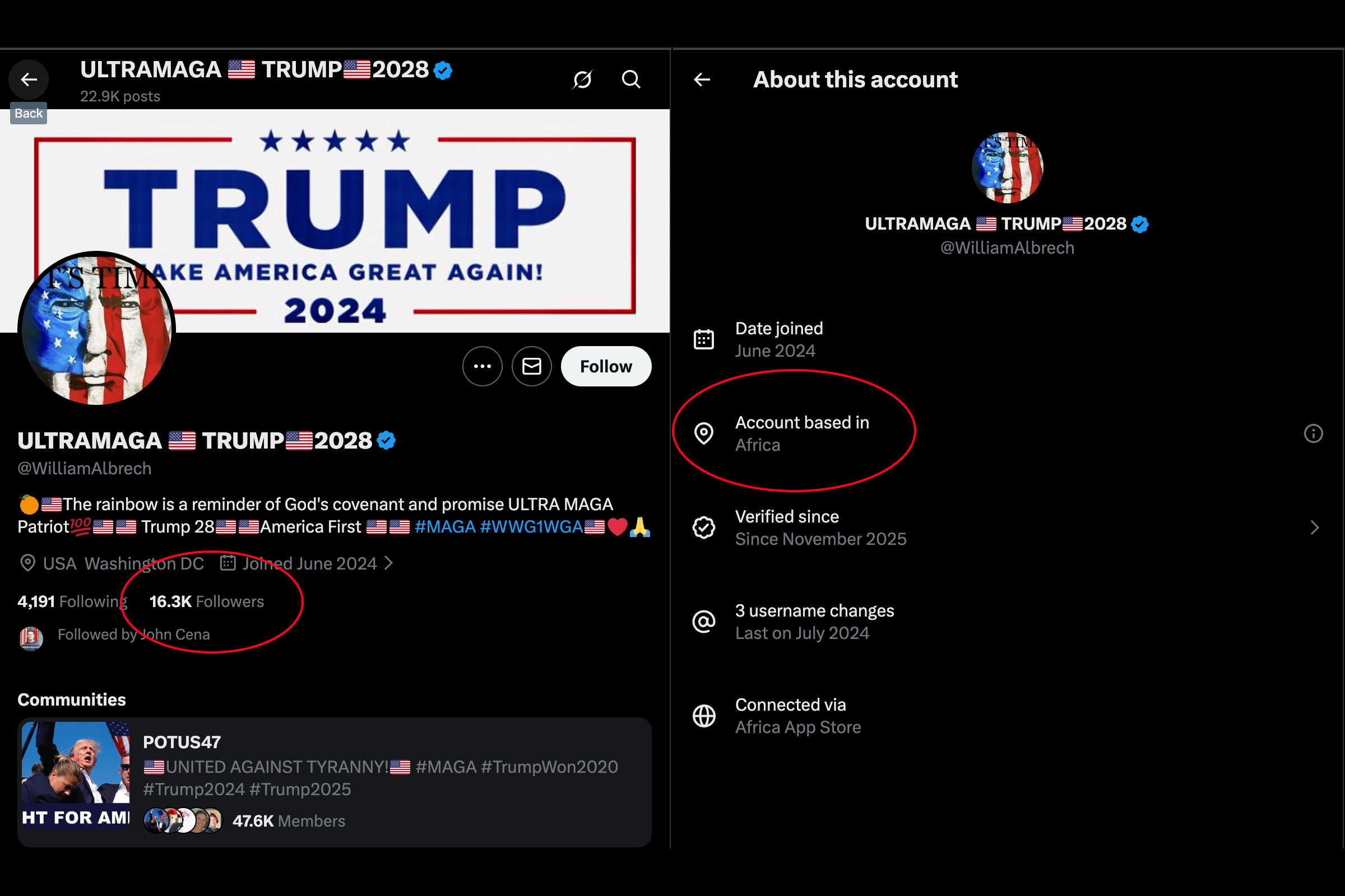 Trump Foreign Troll 2