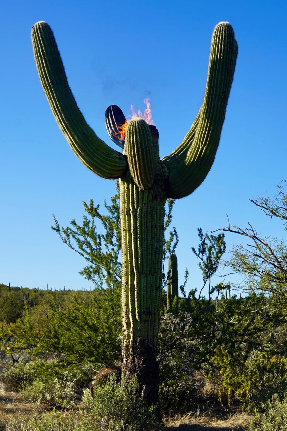 2025 15th Shanghai Biennale Recap overview power station of art 