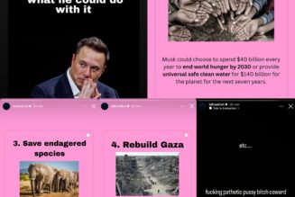 Billie Eilish Calls Elon Musk a "F*cking Pathetic P*ssy Bitch Coward"