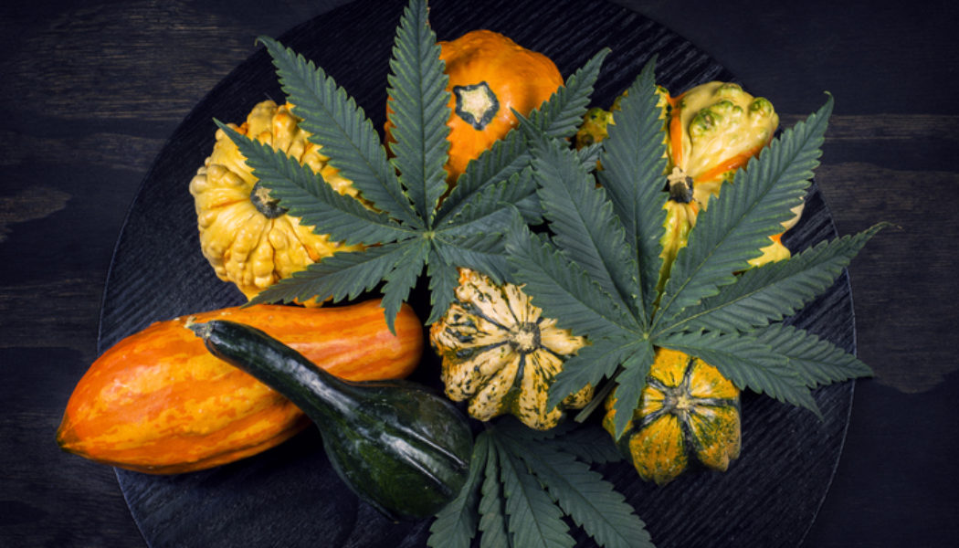 Check Out Our Green Wednesday 2025 Roundup, Just In Time For "Danksgiving"
