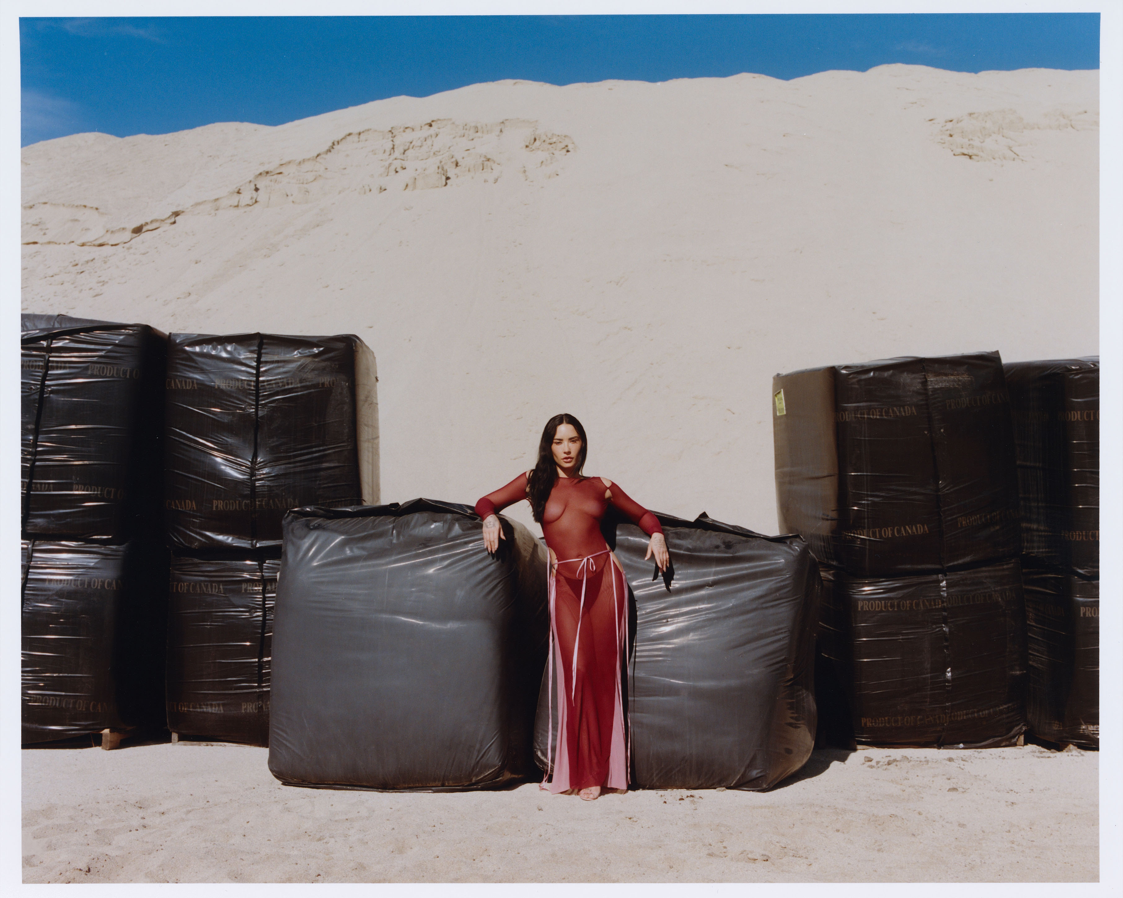 Demi Lovato for Who What Wear&#039;s November cover. Lovato leans up against large boxes covered in black plastic. She is wearing a red and pink sheer dress.