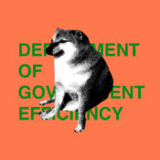 DOGE is no more, and in its wake, only chaos