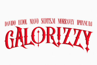 Ecool, Davido, Mavo, Morravey, Scott Maphuma, and Iphxne DJ join forces for their single, “Galorizzy.” » NaijaTunez - No. 1 Platform For Latest Naija Music & Videos