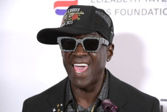 Flavor Flav Says His Score For Alix Earle and Val Chmerkovskiy on 'DWTS' Was An Accident