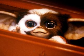 'Gremlins 3' Officially Confirmed for 2027 Theatrical Release