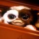 'Gremlins 3' Officially Confirmed for 2027 Theatrical Release