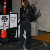 I'll Know You "Get It" If I See You Wearing This Bag Color With Black or Brown (or Both)