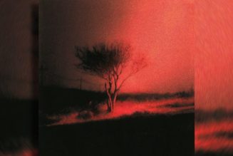 Joji Officially Announces Upcoming Album, ‘Piss In The Wind’