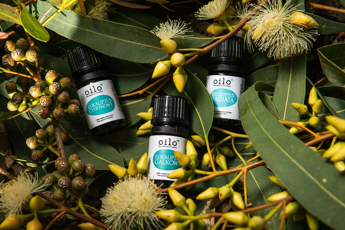 Lifestyle - ätherische Öle für den Alltag