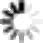 Lifestyle-Teilzeit, Deregulierung, Rabattpickerl: Welches ist für Sie das Unwort des Jahres?