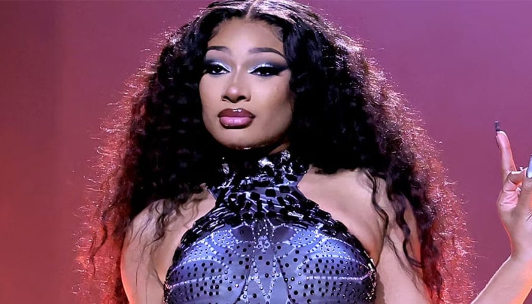Megan Thee Stallion Ends the First Top 40 Rap Drought Since 1990