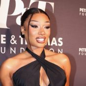 Megan Thee Stallion Sought Therapy At $240,000 Treatment Center After Milagro Gramz Shared Deepfake Porn Video of The Hip-Hop Star
