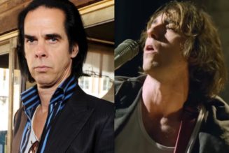 Nick Cave Says "All Worry Is Laid to Waste" When He Listens to Geese