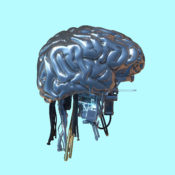 What insiders anonymously think about the AI race