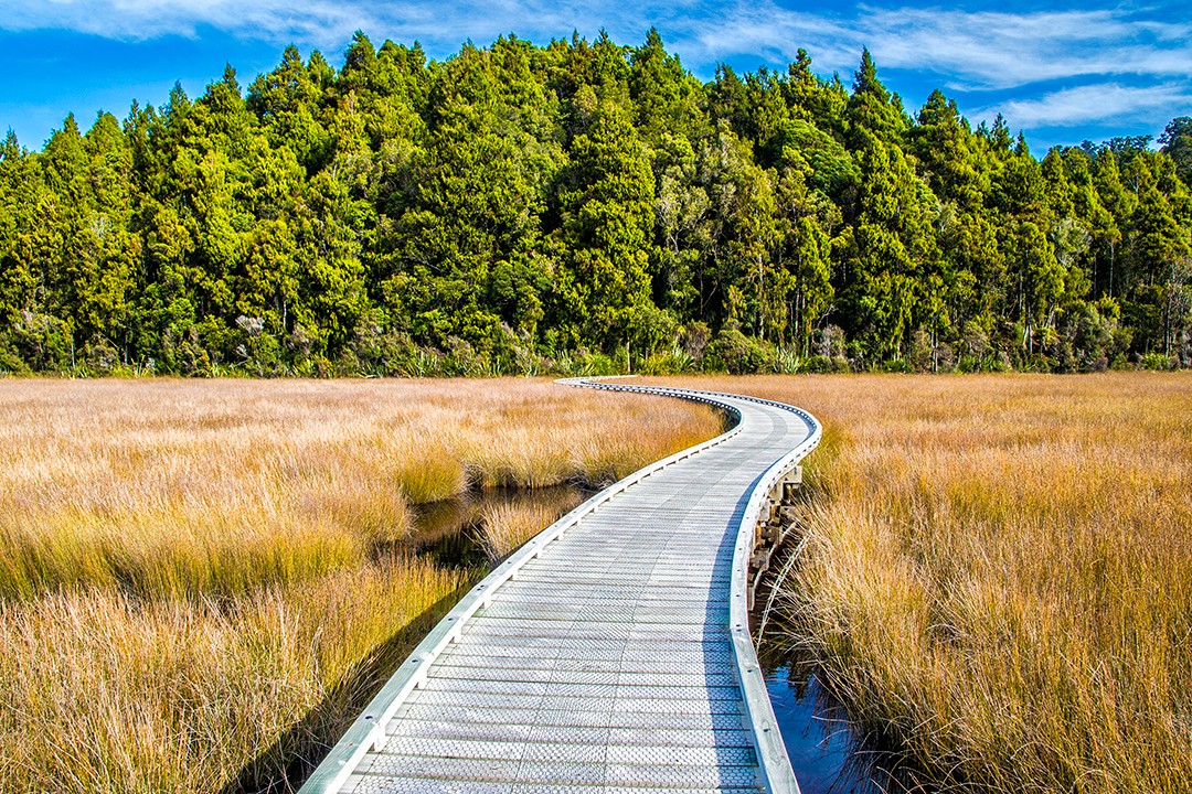 South Island short walks new zealand Okarito