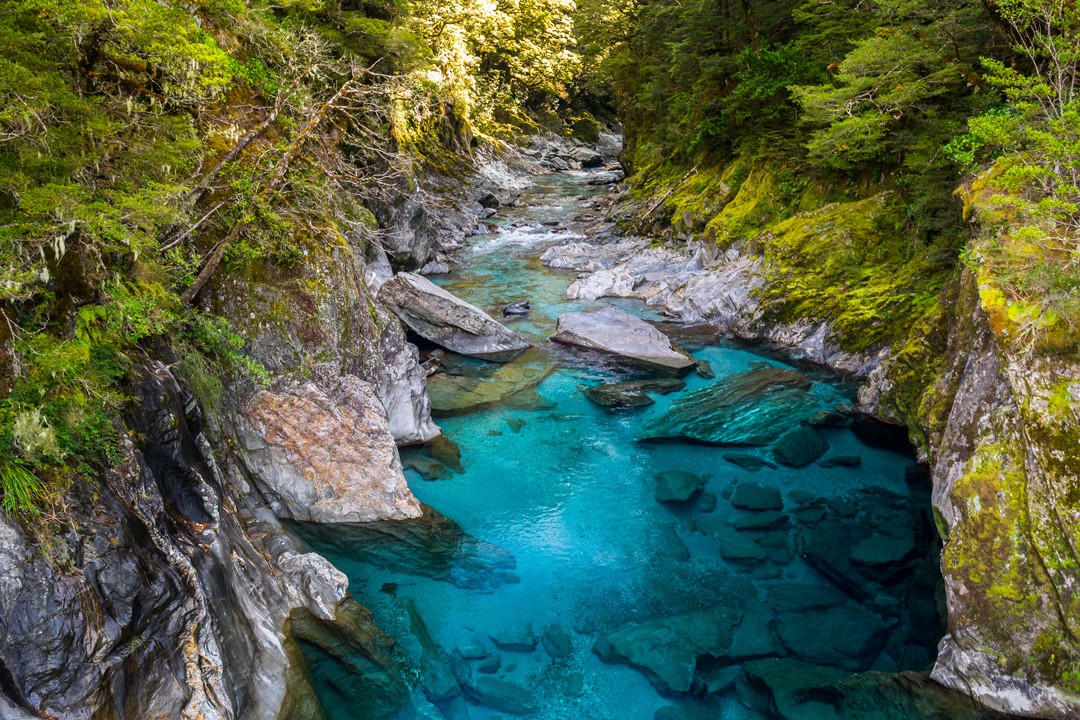 South Island short walks new zealand Blue Pools