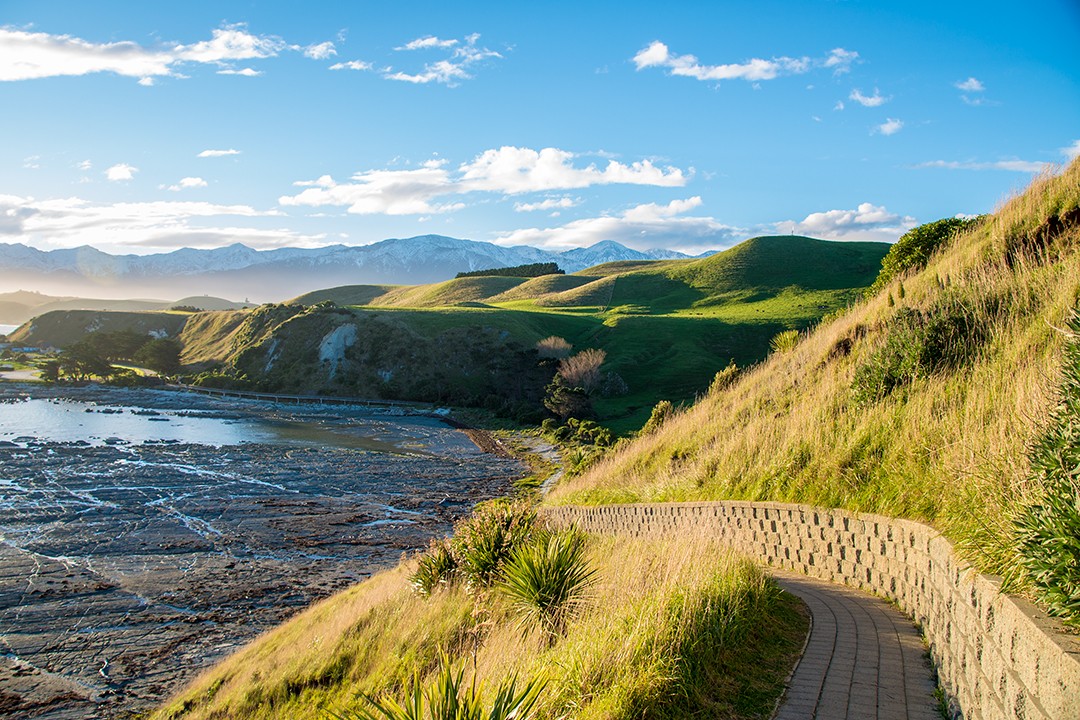 South Island short walks new zealand Kaikoura
