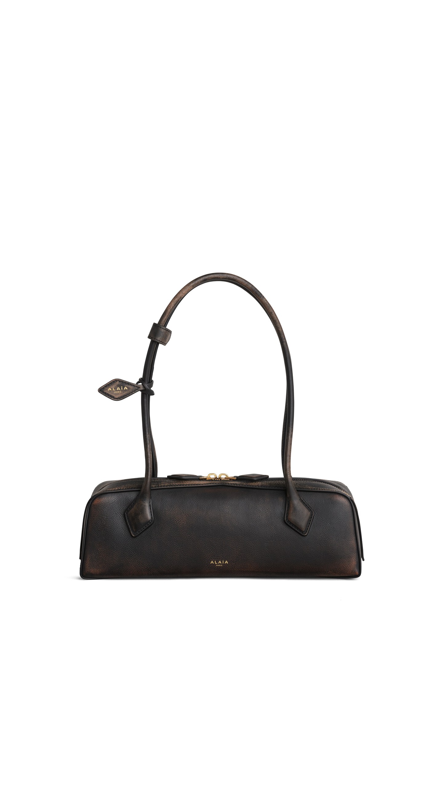 Le Teckel Medium Bag in Aged Leather