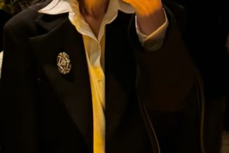 Brooch Fashion Trend