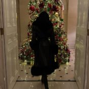 Every Chic Individual Is Wearing "Goth Christmas" Nails Right Now—6 Vampy Sets I'm Currently Obsessing Over