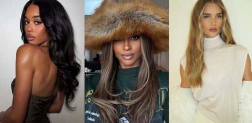 I Can't Stop Saving "Wealthy" Hairspo Pics RN—9 Shades That Feel So Chic for Winter