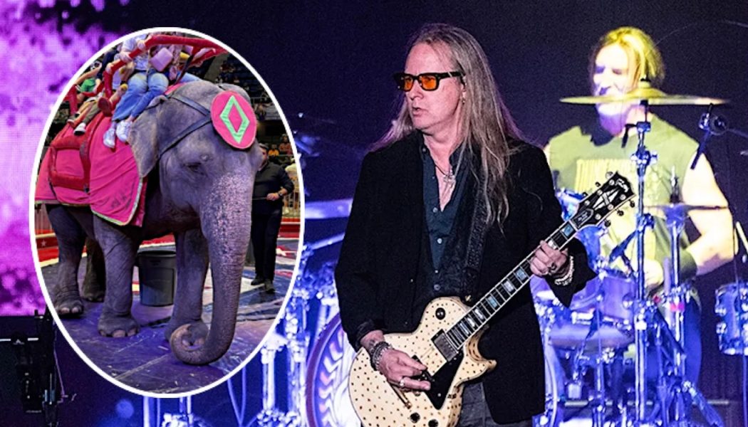 PETA Asks Alice in Chains to Change Band Name to Help Save Circus Elephant