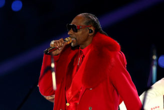 Snoop Dogg's Holiday Halftime Party Had Fans Busting A Move In Their Living Rooms