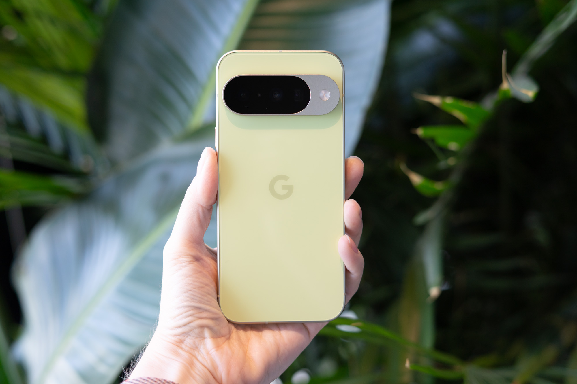 Google Pixel 10 in front of green foliage
