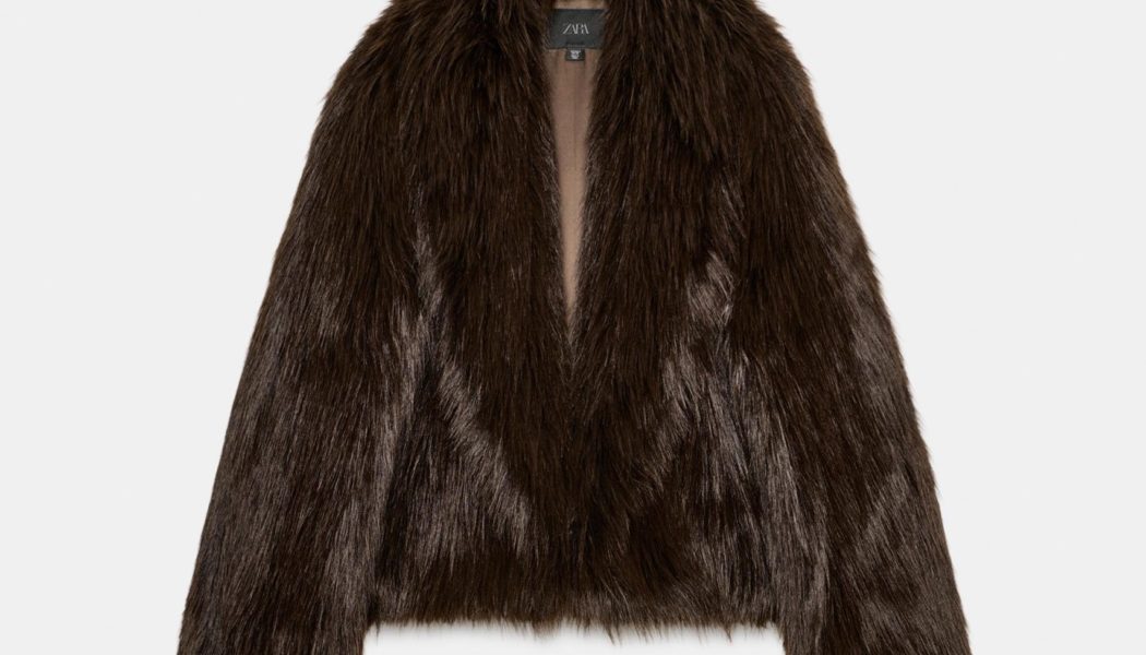 These 7 Winter Coat Trends I Found at Zara Look Like They Belong in a Fashion Person's Closet