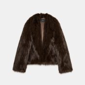 These 7 Winter Coat Trends I Found at Zara Look Like They Belong in a Fashion Person's Closet
