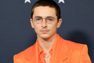 Timothée Chalamet and EsDeeKid Squash the Alter-Ego Theories With Collab on "4 Raws (Remix)