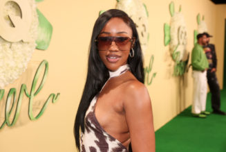 Who Is J Mulan?: The Baddie Drake Slid $10K To In Houston