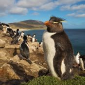 5 Antarctic destinations not to miss on your expedition cruise | Atlas & Boots